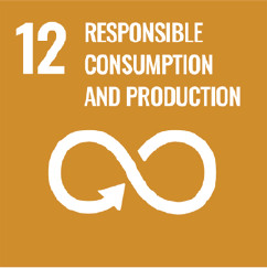 12. Responsible consumption and production