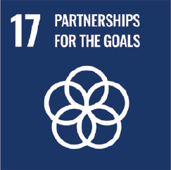 17. Partnership for the goals