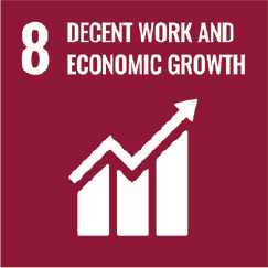 8. Decent work and economic growth